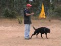 Treino de RCI - Defesa