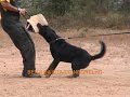 Treino de RCI - Defesa
