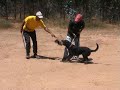 Treino de RCI - Defesa