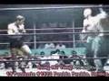 MMA - Capoeira vs. Kickboxer