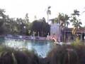 The Venetian Pool ~ Coral Gables, Florida