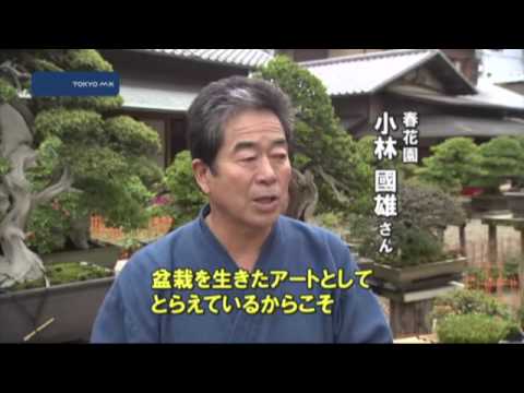 盆栽職人めざすドイツ人