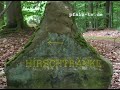 Keltische Opferschalen auf der Hohen Derst ?