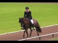 WC 2007 Icelandic horses Lianne van Doorn (NL) T1  T�lt