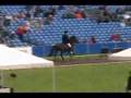 WC 2007 Icelandic horses Lianne van Doorn (NL) T1  Tölt