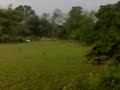 1-Tanah Sawah Brisu perlu di usahakan segera !