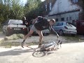 Czech Freetekno Bicycle Champion