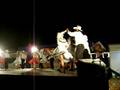 videos de eLEPhants presentacion danza folklorica 