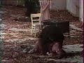 pina bausch : barbe bleue  intégrale 4 sur 12 