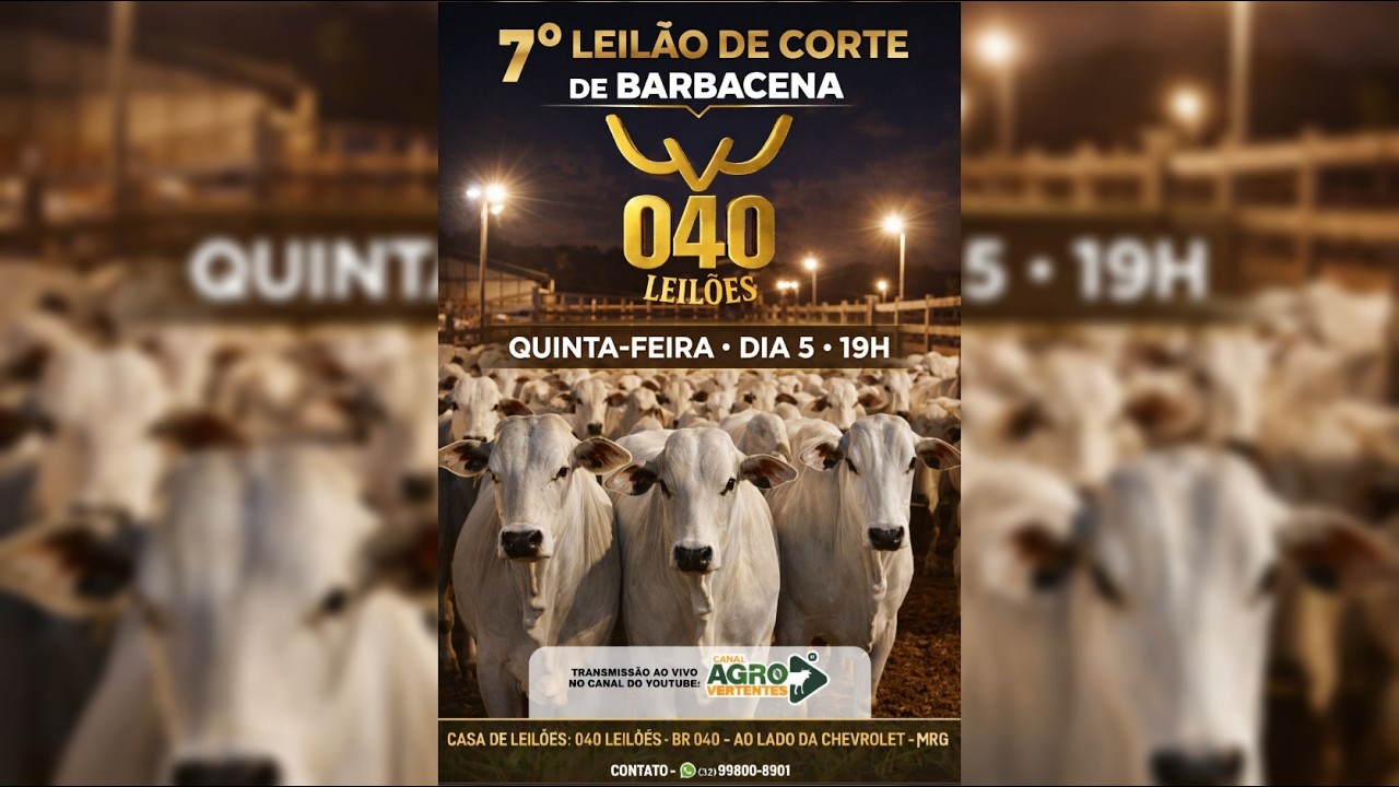 7º LEILÃO DE GADO DE CORTE PRESENCIAL E VIRTUAL 040 LEILÕES BARBACENA/MG - 05/03/2026