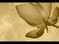 videos de KONCOVKA AND UDU AND BASS AT GUINE'S RESTRANT 2008/11/16