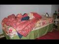 videos de Making a Bed:  Penguin Style