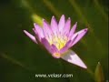 berat-gecesi-nedir-5-5-rahmetforum.html