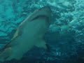 Dangerous Reef Tunnel - Ripley\