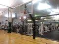 Chip dunking basketball 2