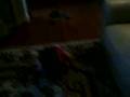 Cool-Baby-Dancing-To