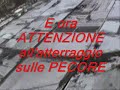 PARACADUTISMO - Tremarella e atterraggio sulle pecore - www.milancio.com
