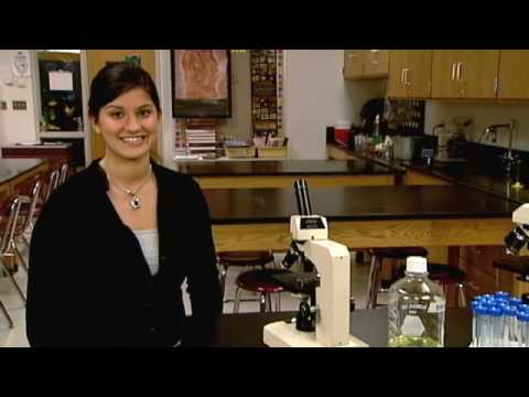 ATETV Episode A
