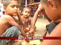 Bihar flood victims fight for survival