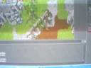 otario hackeado em tibia ot