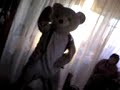 El Oso er�tico 2