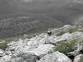 Mount Katahdin Abol trail