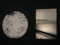 Valie Export, Clips from Adjungierte Dislokationen 1973