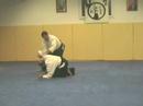 tamura style aikido