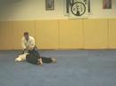 tamura style aikido