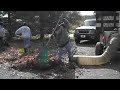 Leaf clean-up with Chris Orser Landscaping