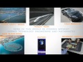 Did You Know: STEM Edition