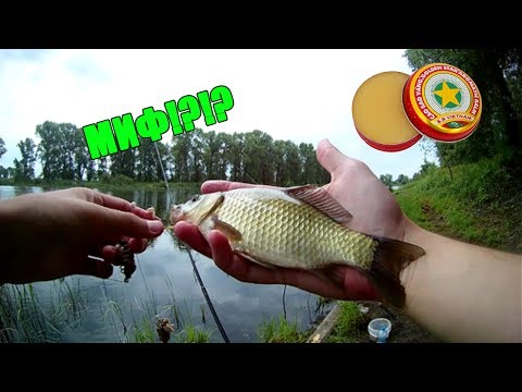 ловля карася на донки на ютубе ловля карася на донки на ютубе
