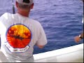 Shark Bit Red Snapper..NE Florida Fishing