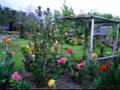 Gerona Farm
