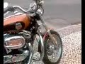 HARLEY XL 1200 L EN  CONCENTRACIÓN FARO 2008