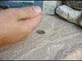 Bombanat Custom Dwarven Forge Vid 1