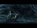 Halo 3 - Before I Forget