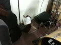 Churches Chicken