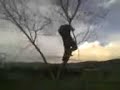 caida  rompiendo una rama