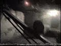 jackass