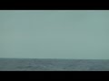 Click here to watch this video Buoy ?