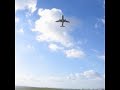 D�collage Airbus Beluga 1