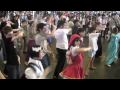 Japan Expo 2009 - Brigade SOS Francophone - Clip