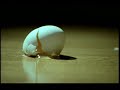 NTF - �gget