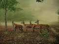 Nico Bulder wildlife painter [Veluwe]