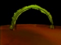 astrophysics-red-dwarf-stars-and-cosmic-flares.html