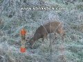Stink Stick, the commercial