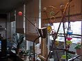 Pippe prater