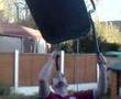 Wheel Barrow balance ME!