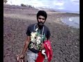 gouse walking on hard rocks in hospet dam side
